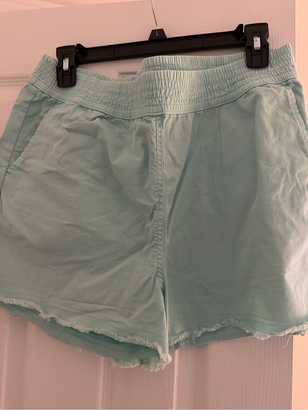 Vineyard Vines Light Aqua Elastic-Waist Casual Shorts